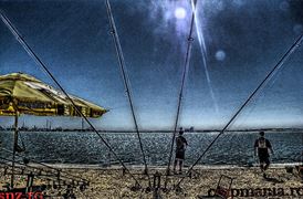 CN Corbu - 2013 (2)